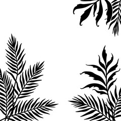 set of black leaves, feather, vector, bird, illustration, pattern, leaf, art, pen, design, nature, decoration, silhouette, set, plant, symbol, quill, vintage, icon, seamless, drawing, wing, color, bla