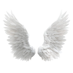 Obraz premium Soft White Angel Wings, Feathery and Ethereal, Isolated on Transparent Background