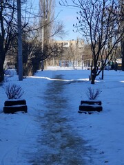 winter in the park