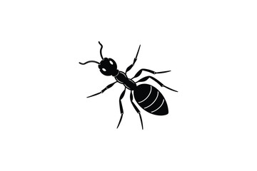 Black Ant Silhouette on White Background Detailed Insect Illustration
