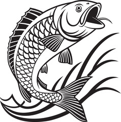 fish on a white