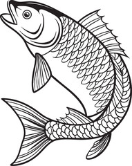 fish on a white background