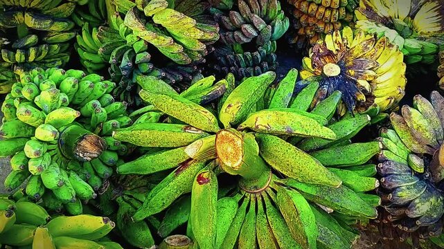 pisang kepok is one of the banana cultivars from the ABB cultivar group. This banana is included in the processed banana group (plantain) because of its high starch content