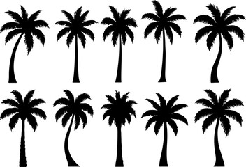 Collection of ten diverse black palm tree silhouettes on a white background