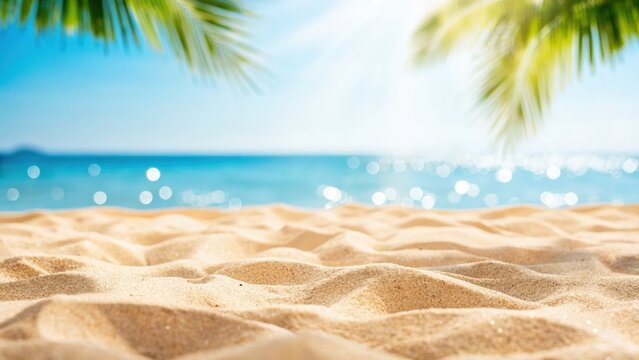 Sun-drenched sandy beach with gentle waves and palm leaves in the foreground.