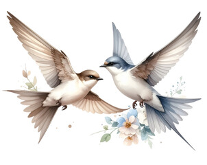 Obraz premium Tender Wings – Watercolor Swift Birds in Flight Together PNG