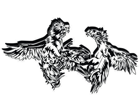 Vector illustration of two fighting cocks fighting.