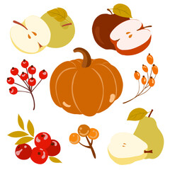 Hand drawn vector set autumn fruit elements. Fall autumn leaves, apples, pears, mushrooms, berries, oak, pumpkins. Colorful fruit autumn illustration.