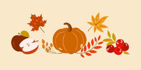 Hand drawn vector set autumn fruit elements. Fall autumn leaves, apples, pears, mushrooms, berries, oak, pumpkins. Colorful fruit autumn illustration.
