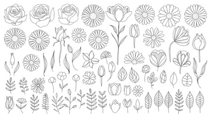 Floral Line Art Vector Set Flowers Leaves Botanical Icons Doodles Illustration Design Elements Outline Style