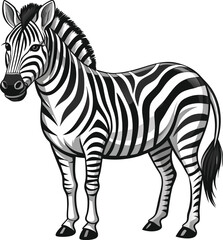 Obraz premium A realistic illustration of a zebra standing on a white background