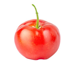 Acerola cherry on transparent background	