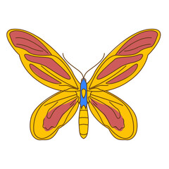 Butterfly Illustration