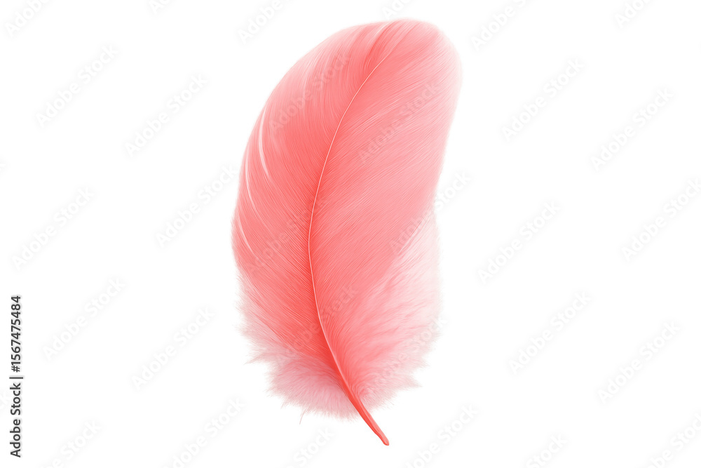 Poster light pink feather gently floating against a transparent background, perfect for enhancing graphic d