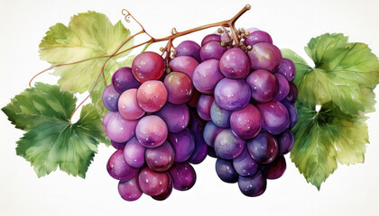 Fototapeta premium Fresh grapes in vibrant purple tones with green leaves create beautiful harvest scene, perfect for seasonal decor