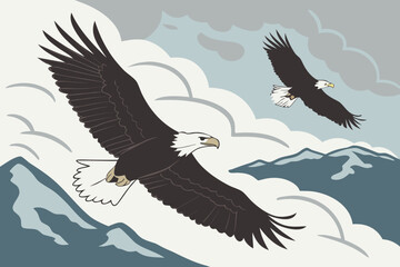 Two bald eagles soaring over mountains and clouds bird