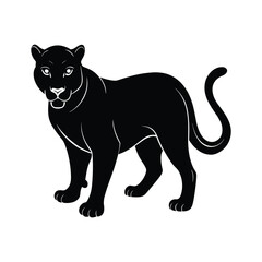 black cat vector illustration