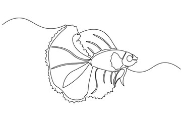 Continuous one line drawing of Tropical fish betta. Single line drawing illustration of Betta fish or cupang fish. Wall decor concept vector art. Doodle line illustration.