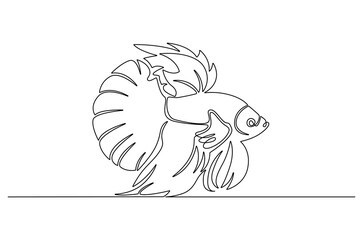 Continuous one line drawing of Tropical fish betta. Single line drawing illustration of Betta fish or cupang fish. Wall decor concept vector art. Doodle line illustration.