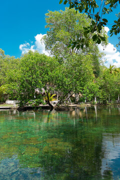 Cenote, El Remate, Campeche, M&eacute;xico