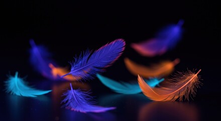Vibrant luminous floating feathers casting colorful glow on dark surface abstract display