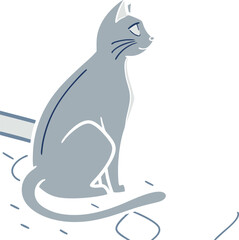 cat on a white background