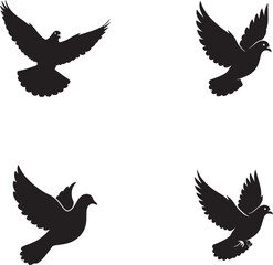 Fototapeta premium Dove Silhouette