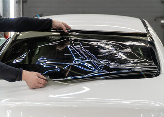 Applying tinting foil on a car window in the tuning studio. Male car service worker glue window...
