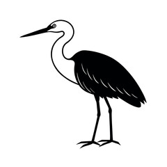 Fototapeta premium Little Egret Standing Bird Silhouette