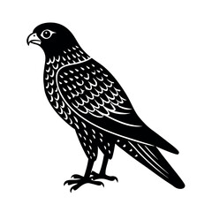 Montagu's Harrier Bird Vector Art