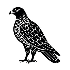 Oriental Honey Buzzard Flying Clipart