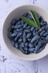 Close-up macro shot of honeysuckle berries. Healthy blue edible berries, rich in antioxidants and vitamins.