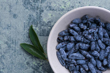 Close-up macro shot of honeysuckle berries. Healthy blue edible berries, rich in antioxidants and...