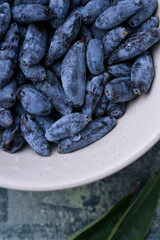 Close-up macro shot of honeysuckle berries. Healthy blue edible berries, rich in antioxidants and vitamins.