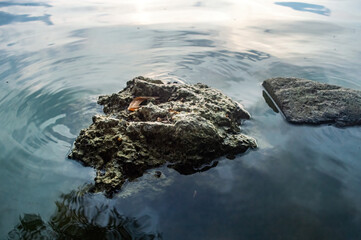 Close up of a single rock partially submerged in calm water with gentle ripples, creating a peaceful and minimal scene. Perfect for backgrounds, meditation visuals, and natural textures