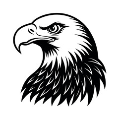 Bald Eagle Flying Vector Illustration