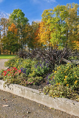 Colorful flowerbed in a park surrounded by trees showcasing autumn foliage