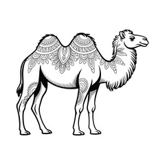 Stylized black and white line art illustration of a camel with intricate mandala patterns