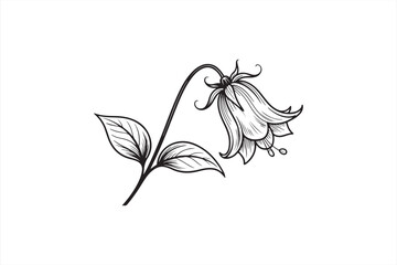 Detailed line art of a bell-shaped flower with leaves in black and white.