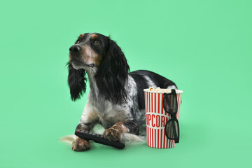 Cute cocker spaniel dog with bucket of popcorn, 3D cinema glasses and TV remote lying on green...