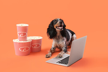 Cute cocker spaniel dog with buckets of popcorn and laptop lying on orange background