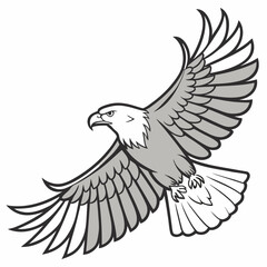 Majestic gray eagle with outstretched wings soaring bird flying