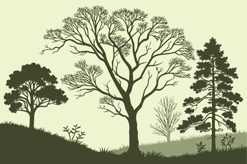 Obraz premium Stylized illustration of a natural landscape with a variety of trees, including deciduous and evergreen, showcasing different seasons and foliage, suitable for environmental themes.