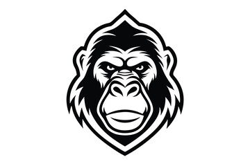 Fierce gorilla with bared teeth and angry expression displays powerful and striking monochrome aggression