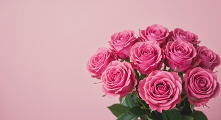 Delicate pink roses bouquet against a soft pink background