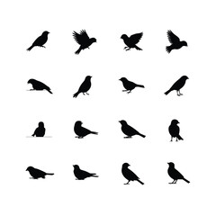Obraz premium Black Bird Silhouettes Set – 12 Minimal Sparrow Poses in Grid Layout on White Background