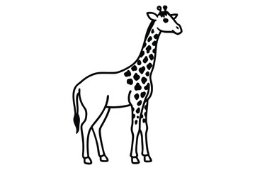 Fototapeta premium Giraffe standing calmly with its patterned silhouette shown prominently against a white backdrop