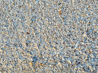 texture of stone, background 
Close-up view of crushed seashells on a beach