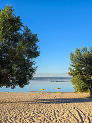 tropical beach with palm trees.
A serene beach scene with trees, sand, and lake under a bright blue skytropical beach with palm trees.