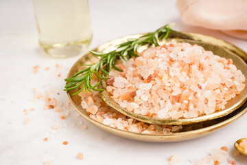 Plates with Himalayan pink salt and rosemary on white background